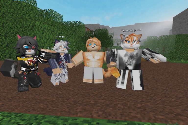 i had 5 cats one of them escaped roblox