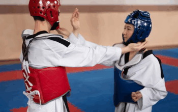Karate Bros Game